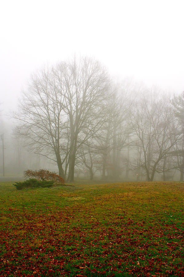 Early Morning Fog Photograph by Ann Murphy