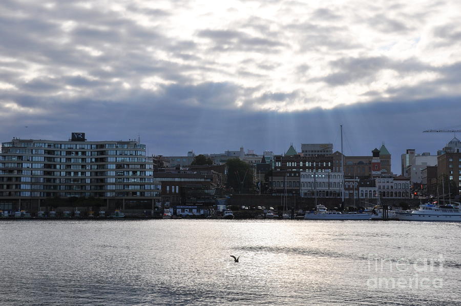 Early Morning In Victoria Harbor Photograph by Tatyana Searcy