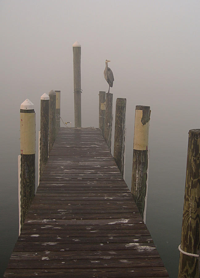 Early Morning on the Dock Photograph by Dorothy Cunningham