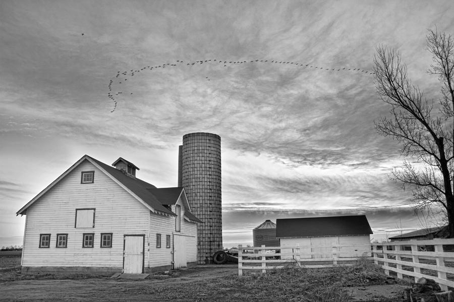 Early Morning On The Farm Bw Photograph by James BO Insogna