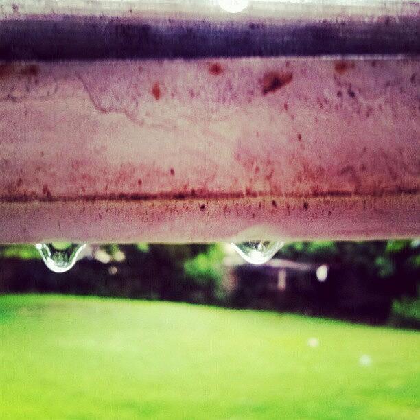 Summer Photograph - Early #morning #rain #drops #raindrops by Liz Grimbeek