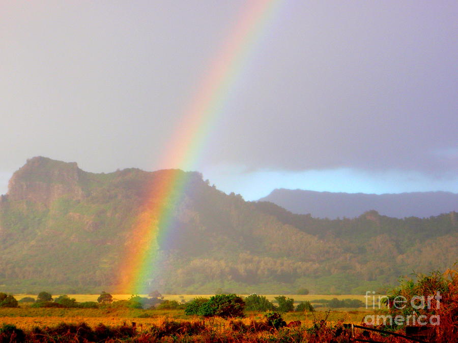 Early Morning Rainbow at Sleeping Giant Mountain Photograph by Mary Deal
