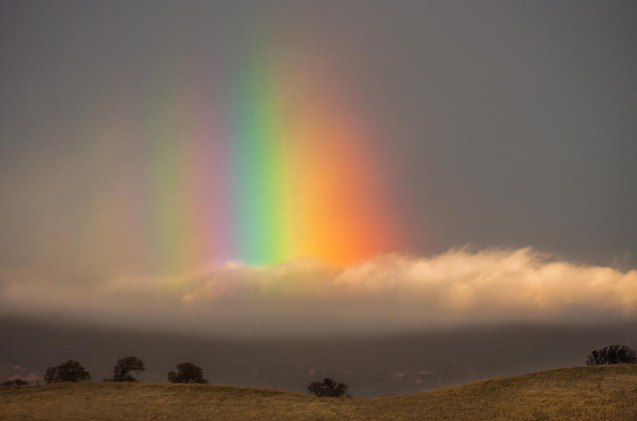 Early Morning Rainbow Photograph by Marc Crumpler