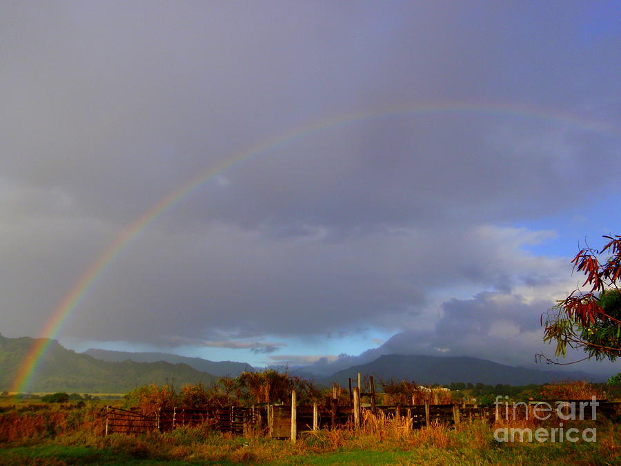 Early Morning Rainbow Over the Pasture Photograph by Mary Deal