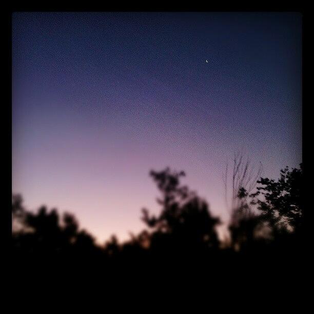 Early Morning Sky.. So Peaceful Photograph by Sarah Pratt Harvanek