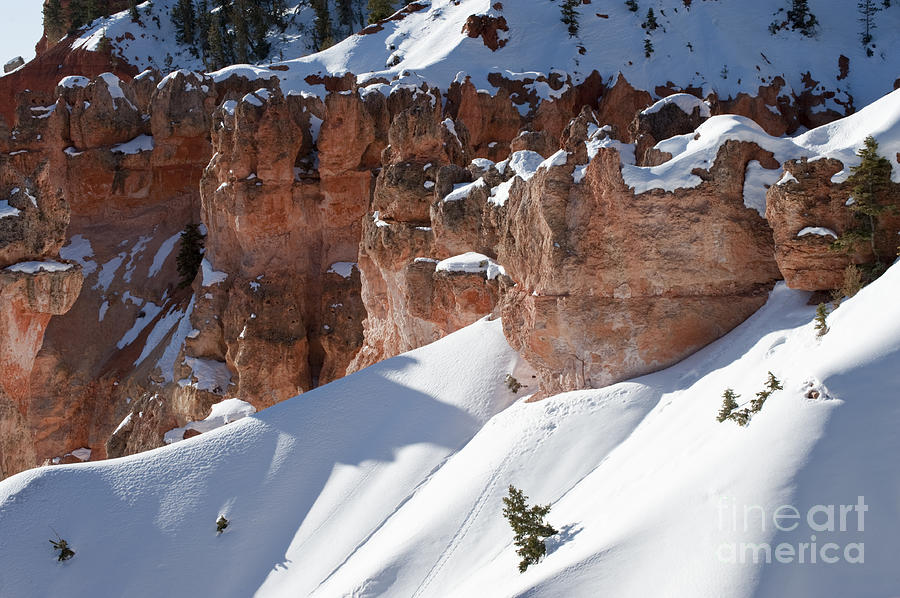Early Morning Snow in Bryce Canyon Photograph by Sandra Bronstein