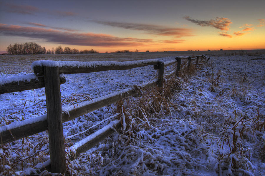 Early Morning Snow On A Cattle Fence Photograph by Dan Jurak