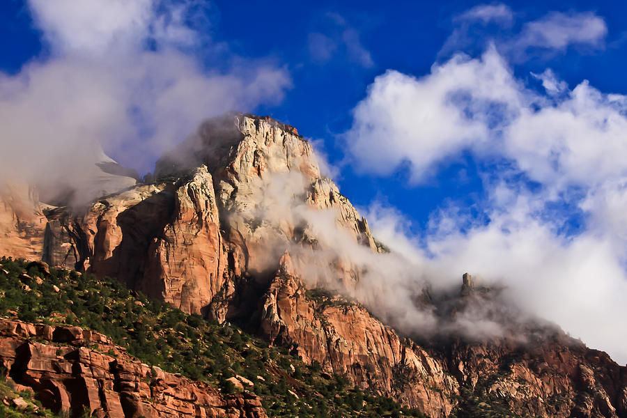 Early Morning Zion National Park Photograph by Tom and Pat Cory