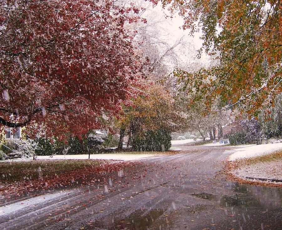 Early Snow Photograph by John Scates