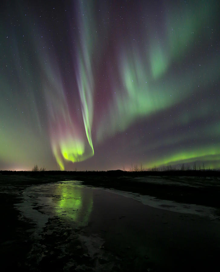 Mirror Photograph - Early Winter Alaskan Northern Lights by Sam Amato