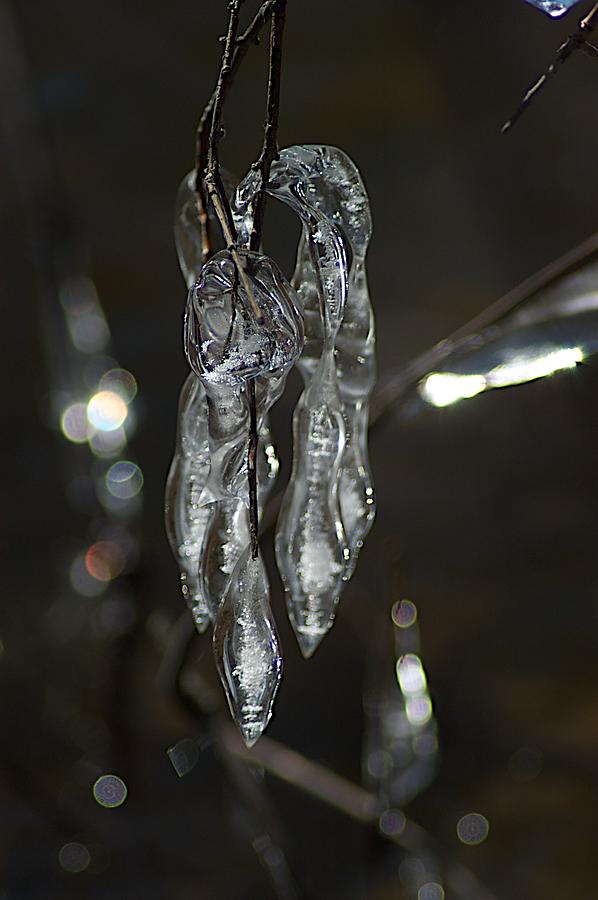 Ice Photograph - Earrings by Joseph Yarbrough