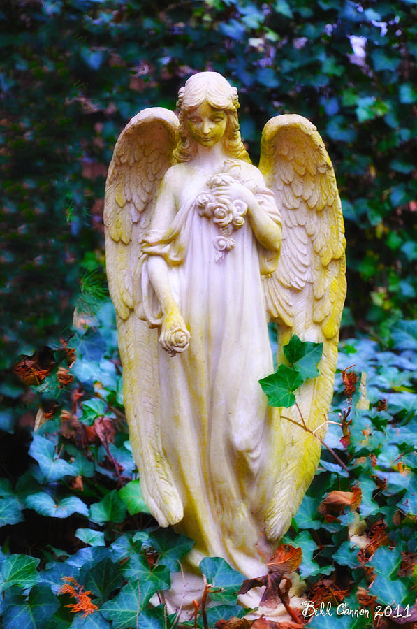Earth Angel Photograph by Bill Cannon