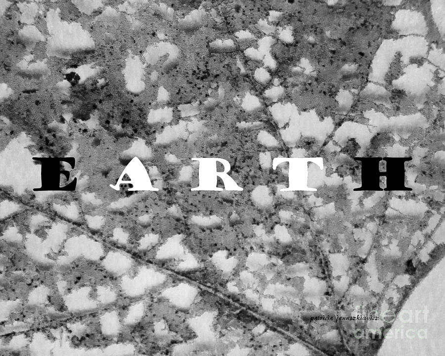 Earth Art Digital Art by Patricia Januszkiewicz
