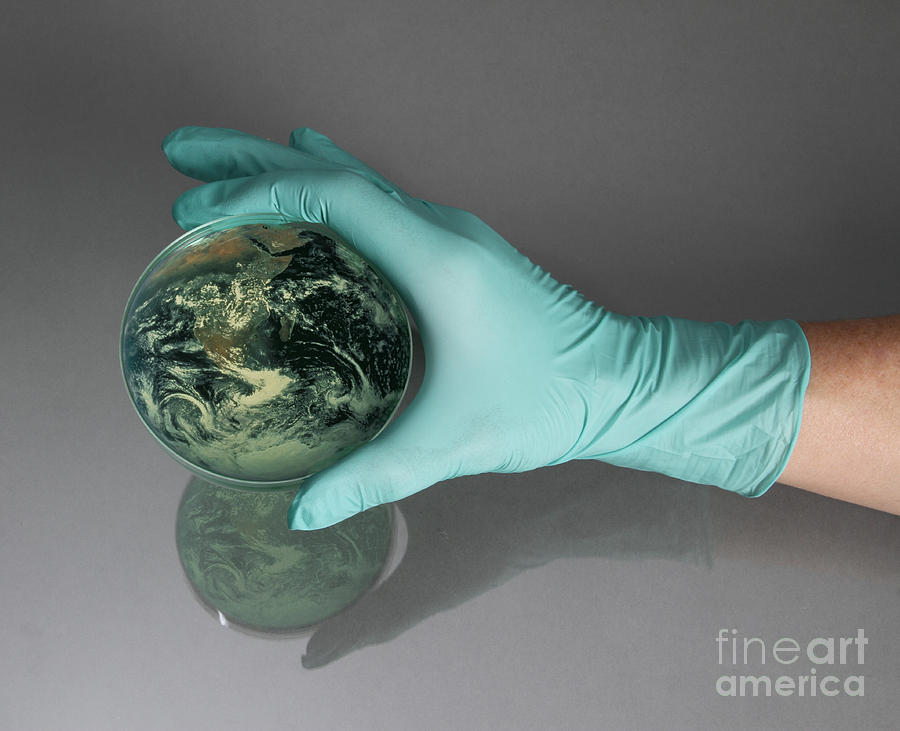 Earth Inside A Petri Dish Photograph by Photo Researchers