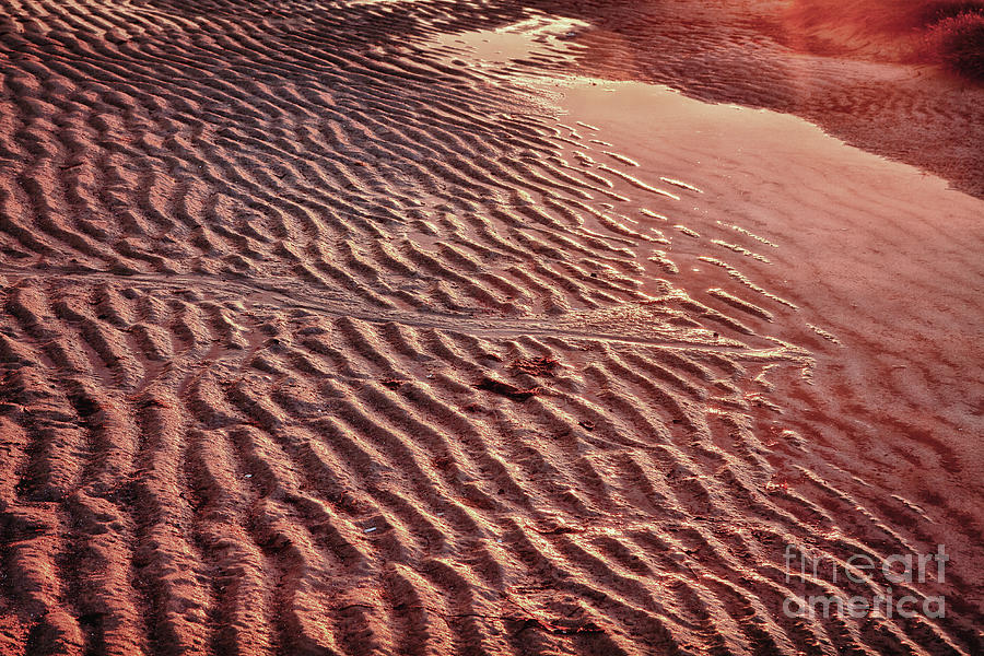 Earth Ripples Photograph by Susan Cole Kelly