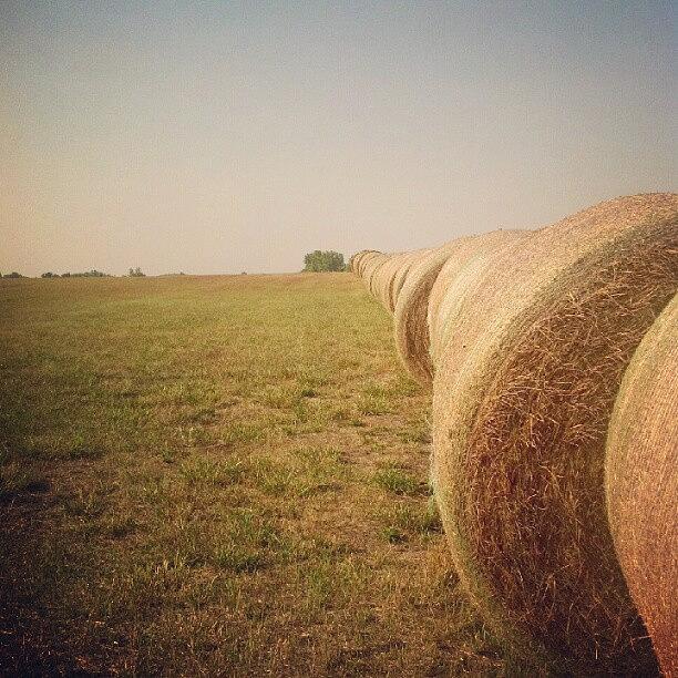 Nature Photograph - East 40..row Of Hay As Far As Eye Can by Stephen Cooper