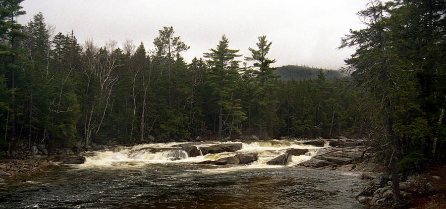 East Branch Photograph