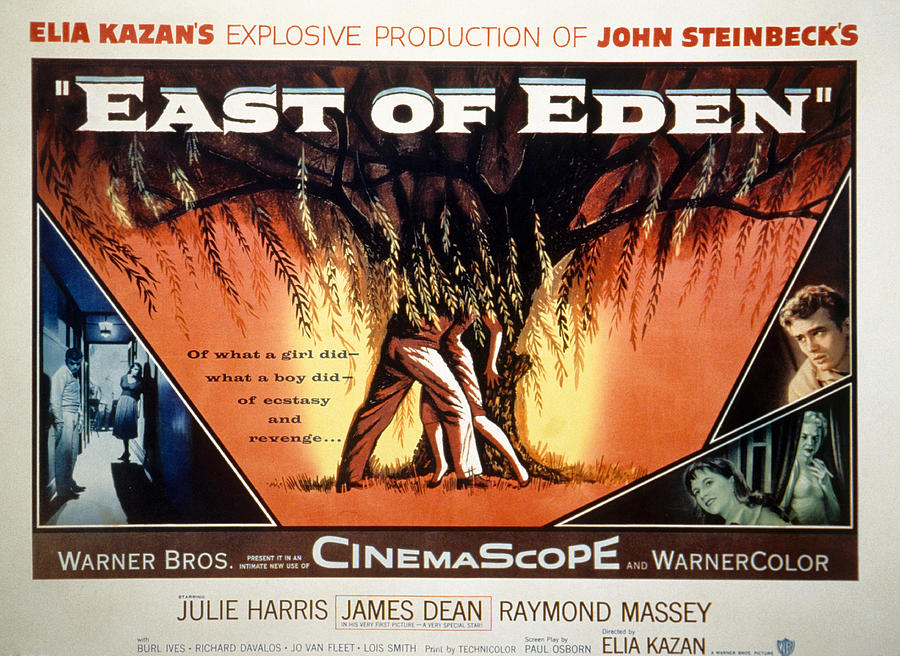 East Of Eden, James Dean, Lois Smith Photograph by Everett