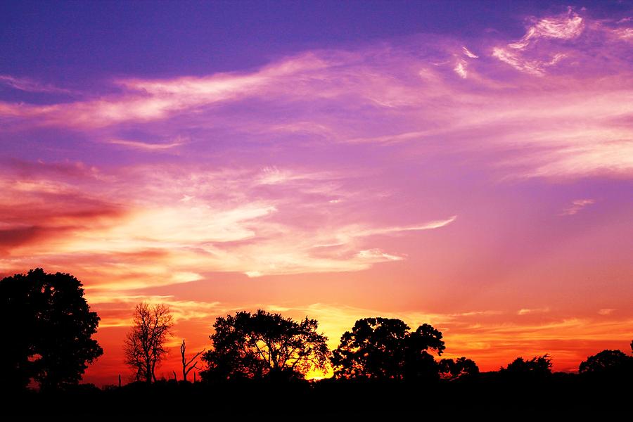 east texas sunset lorri crossno