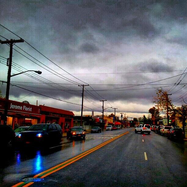 East Tremont Right Now. A Little Wind Photograph by Radiofreebronx Rox