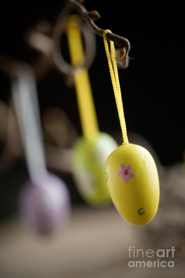 Easter Photograph - Easter decoration by Kati Finell