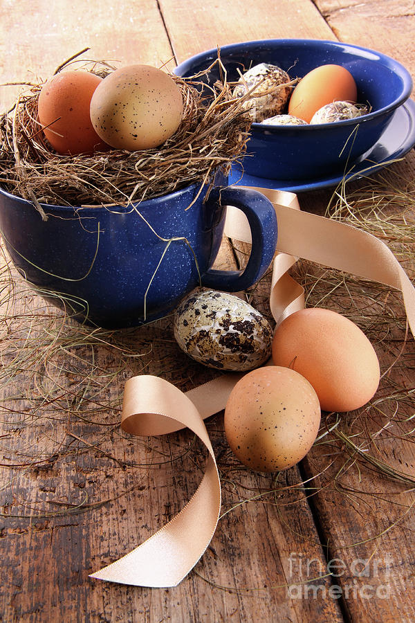 Easter eggs in blue cup with ribbons Photograph by Sandra Cunningham