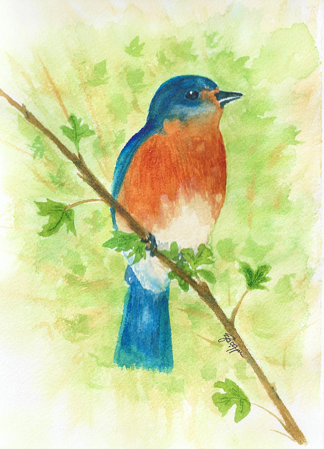 Eastern Bluebird Painting by Elise Boam