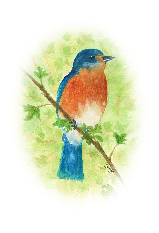 Eastern Bluebird Vignette Painting by Elise Boam