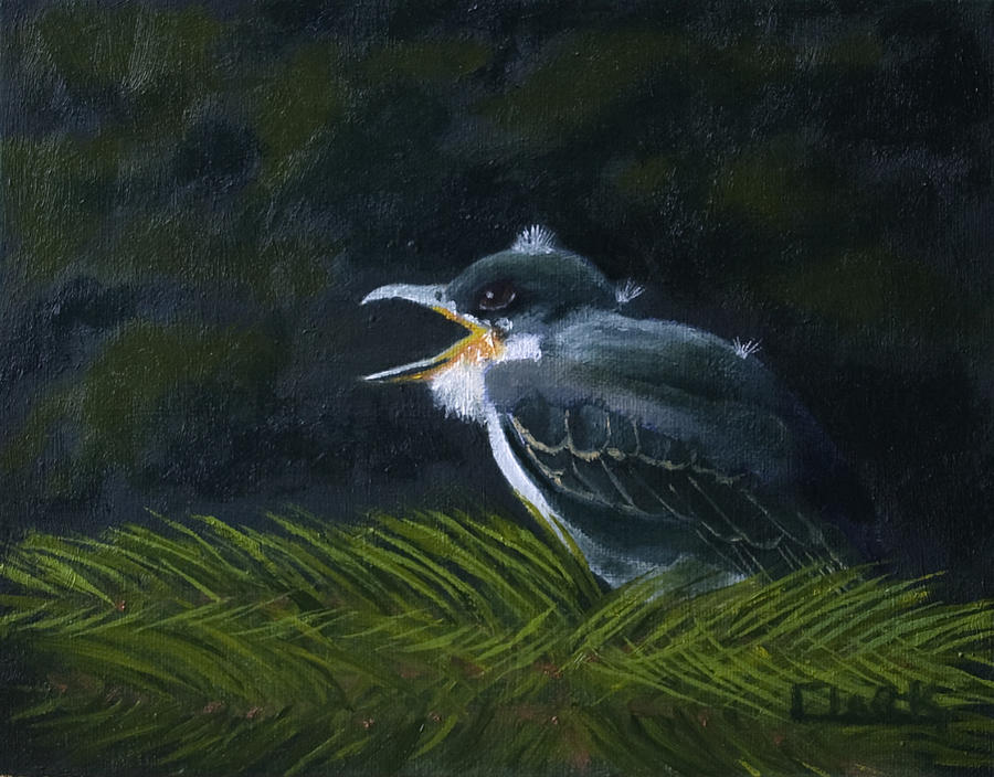 Eastern Kingbird Fledgling Painting by Wade Clark