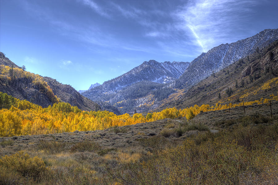 Eastern Sierras in Fall Photograph by Michele Cornelius