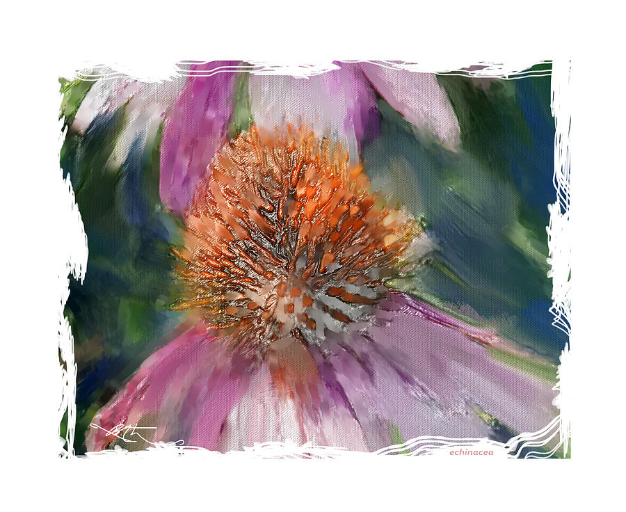 Echinacea Painting by Bob Salo