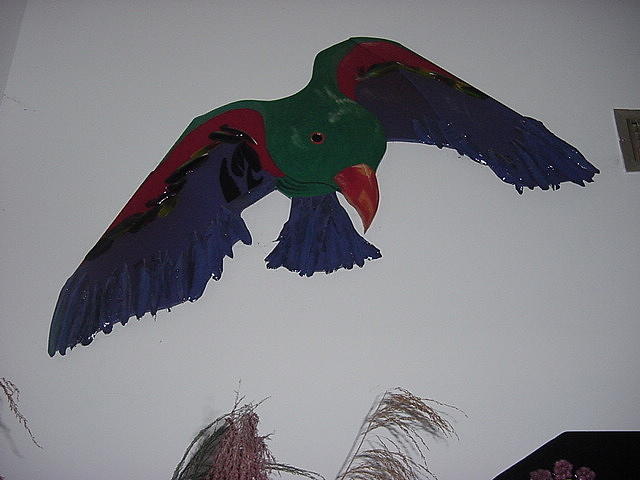 Eclectus Parrot Mixed Media - Eclectus Parrot by Val Oconnor