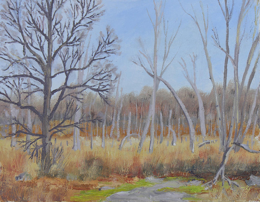 Nature Painting - Edge of the Marsh by Robert P Hedden