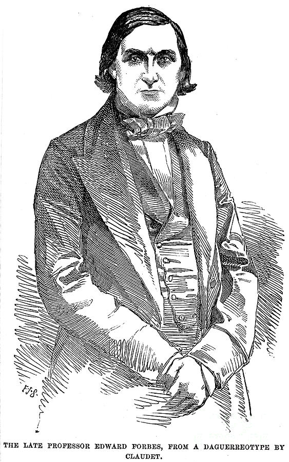 Edward Forbes (18151854) Photograph by Granger Pixels