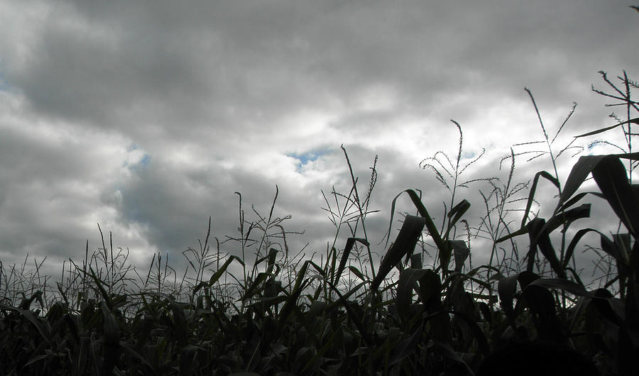 Clouds Photograph - Eerie Field by Karen Jordan Clouds Photograph - Eerie Field by Karen Jordan