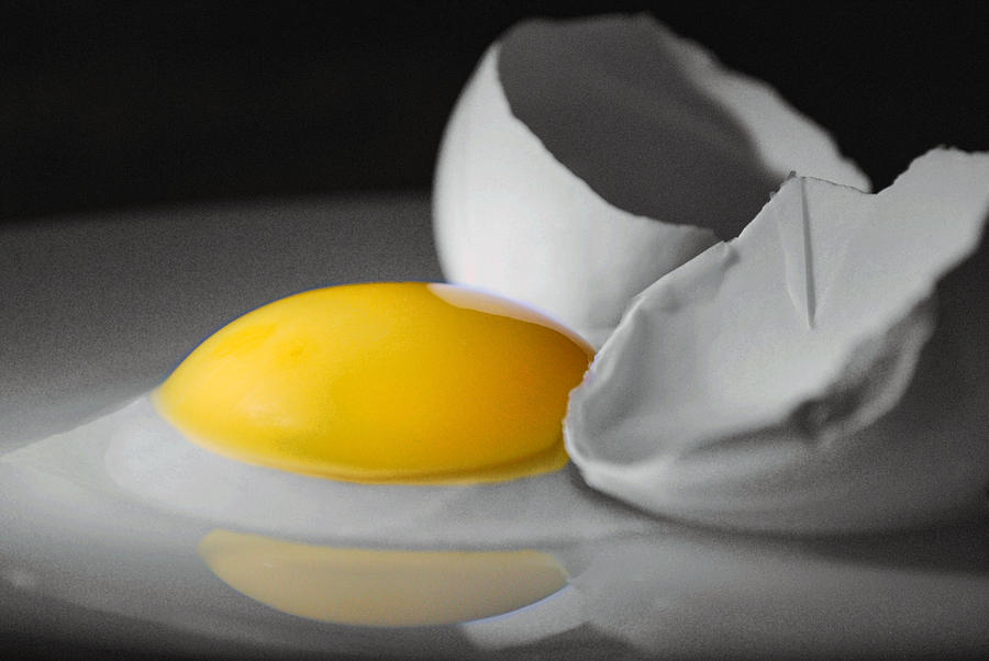 Egg and Black and White Photograph by Jeffrey Platt