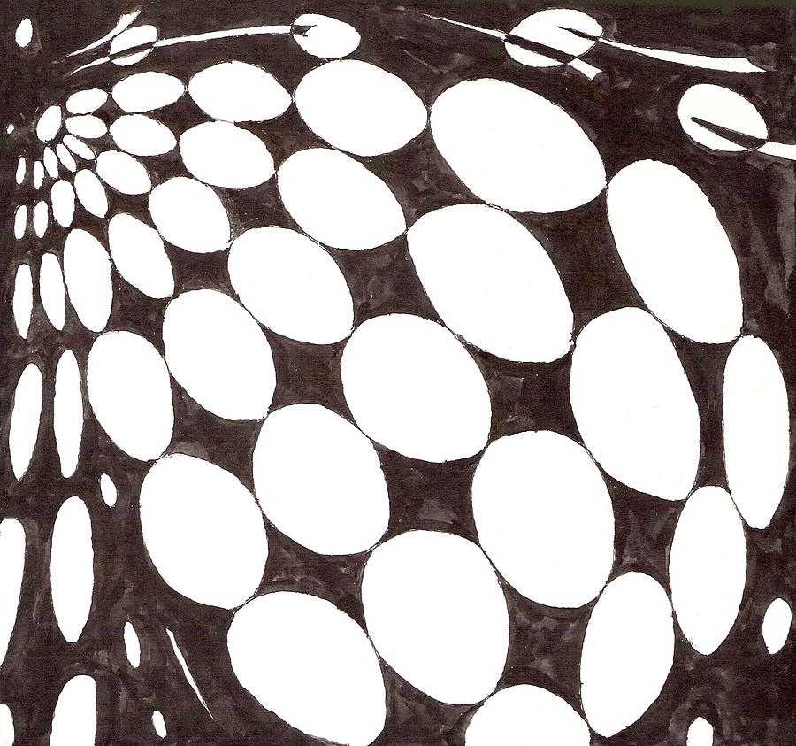 Egg Drawing - Egg Drawing mm05-0643 by Phil Burns