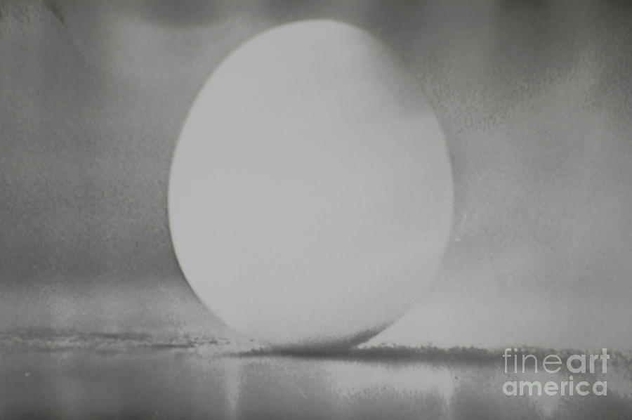 Egg Of The Vernal Equinox Photograph