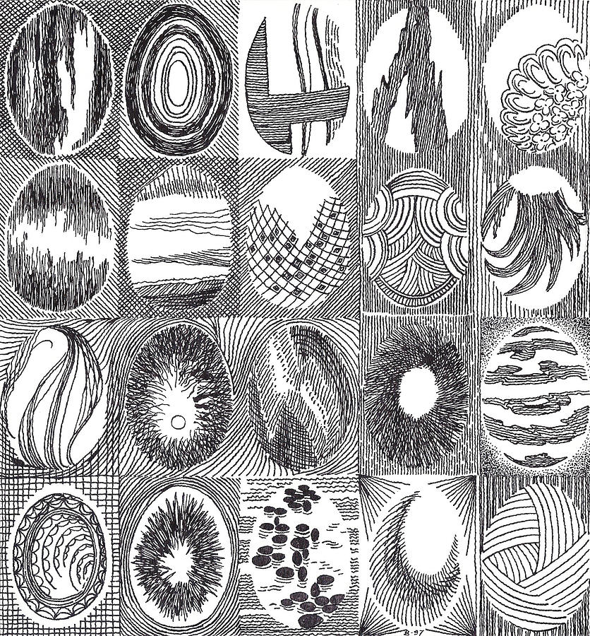 Egg Drawing - Egg Quilt2 by Phil Burns
