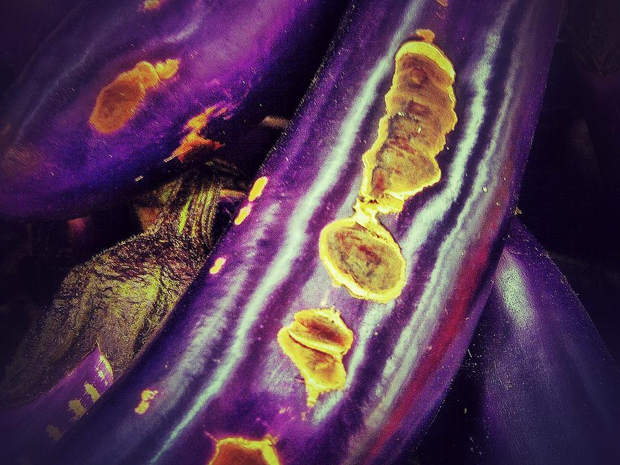 Eggplant Digital Art by Olivier Calas