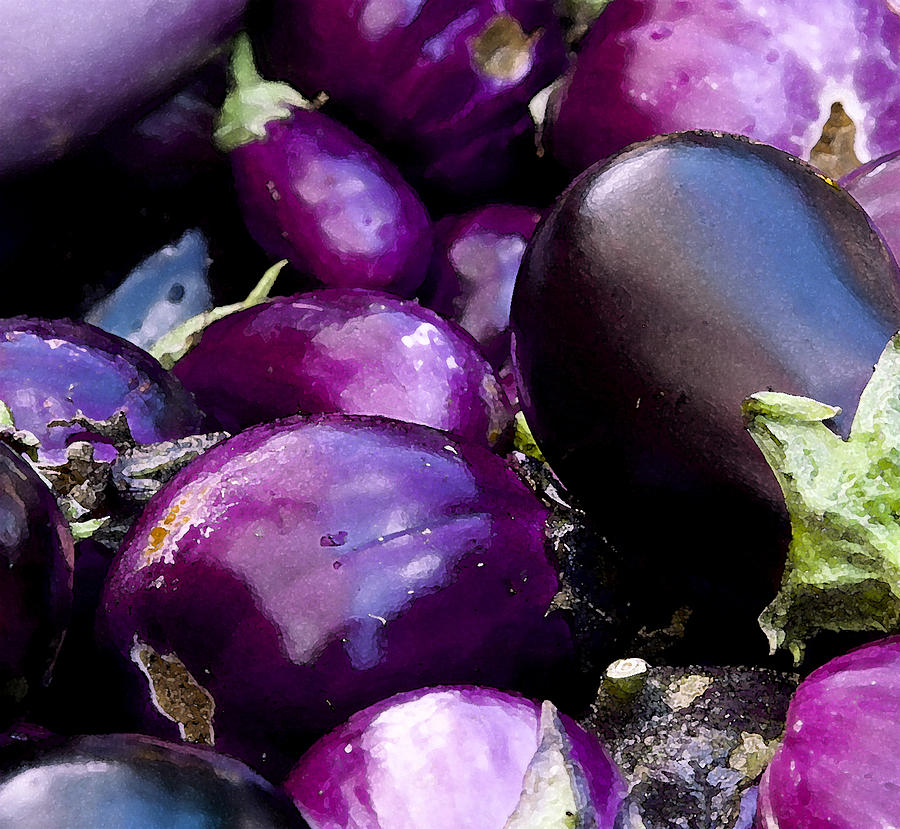 Eggplants Photograph by Michael Friedman