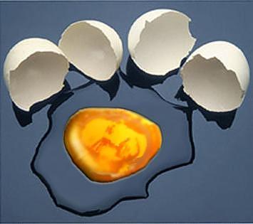 Eggs... Digital Art by Alessandro Della Pietra