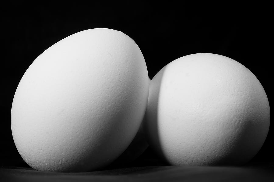 Eggs in Black and White Photograph by Lori Coleman