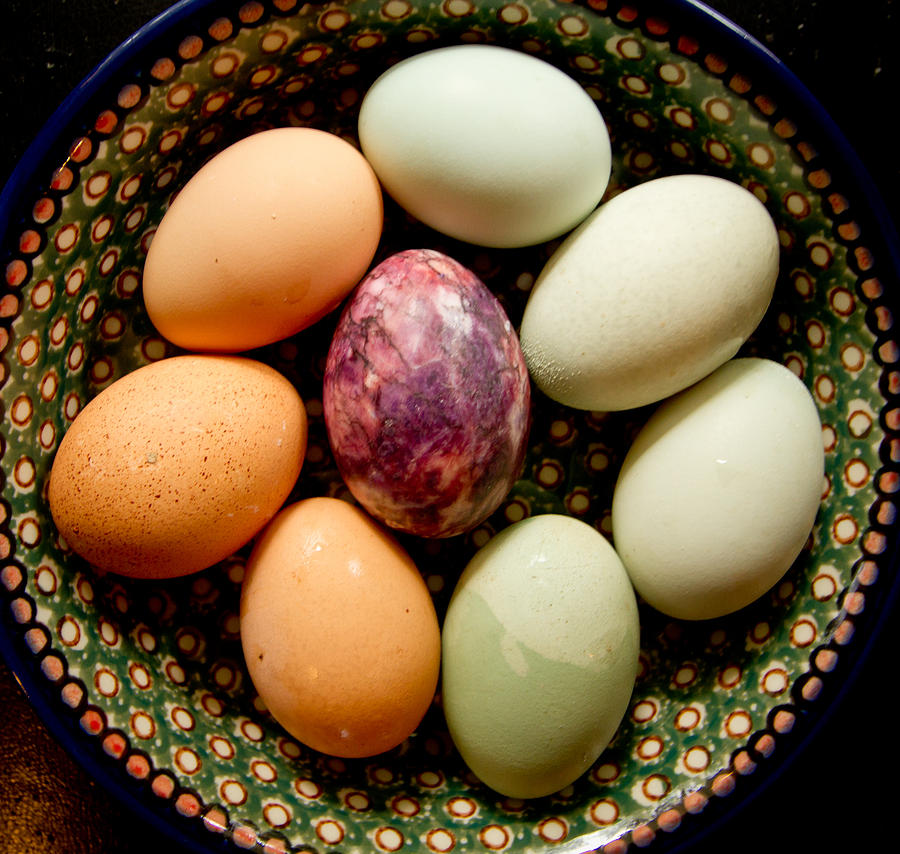 Easter Photograph - Eggs by Jean Noren