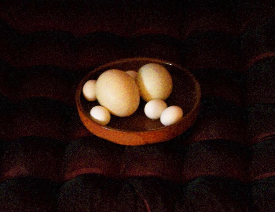 Eggs Mixed Media by YoMamaBird Rhonda