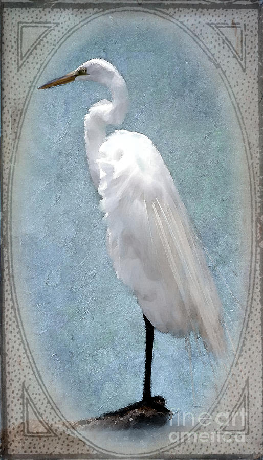 Egret 2 in a Vintage Frame Photograph by Betty LaRue