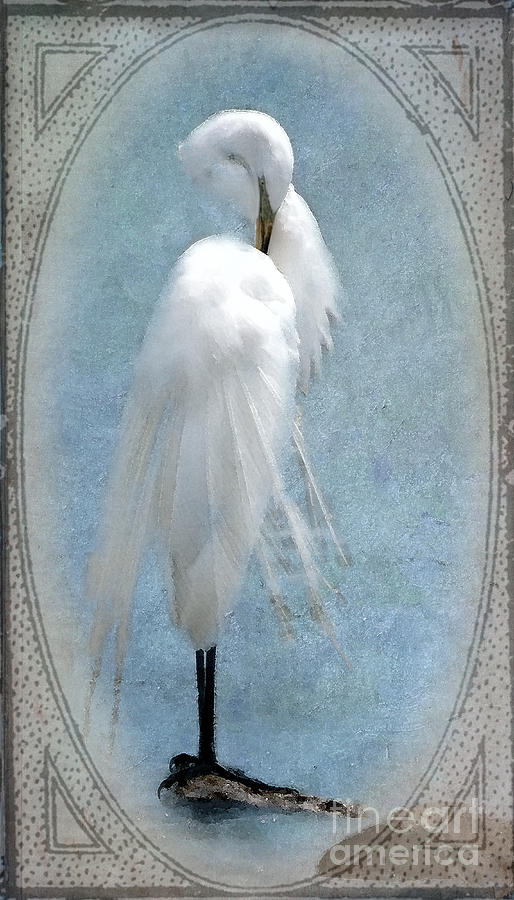 Egret In a Vintage Frame Photograph by Betty LaRue