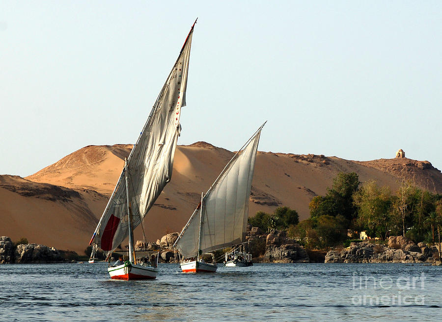 Egypt Feluccas  Photograph by Bob Christopher