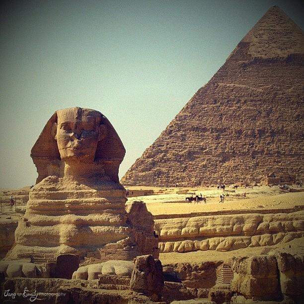 Pyramid Photograph - Egypt January 2011 by Jane Emily