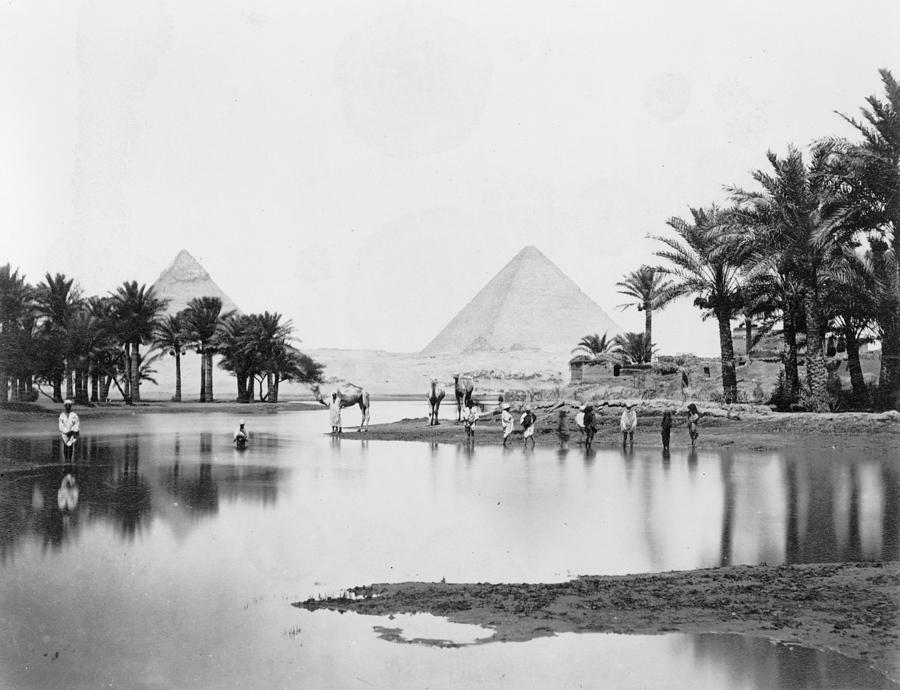 Egypt: Pyramids Photograph by Granger